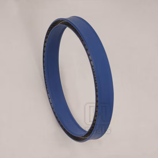 Strong Pressure Resistance Spring Energized Seal PTFE O Ring Seals