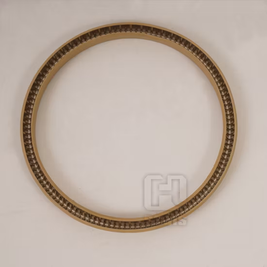 Strong Pressure Resistance Spring Energized Seal PTFE O Ring Seals