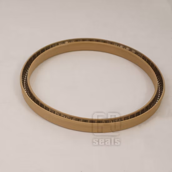 Strong Pressure Resistance Spring Energized Seal PTFE O Ring Seals