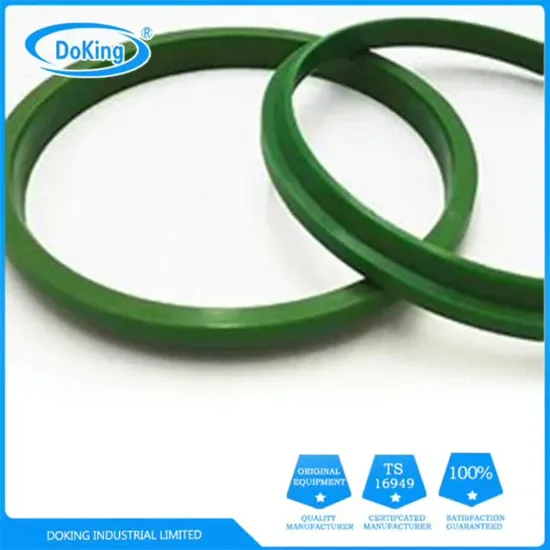 Mechanical Hydraulic PTFE Upe Rod Piston Roary Double Lip Oil Spring Energized Seal