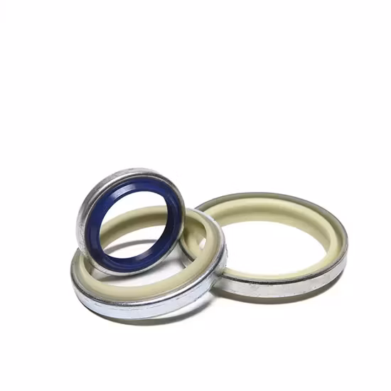 熱い販売ロータリー シャフト メカニカル シール NBR/FKM ゴム Tc Tg タイプ スケルトン オイル シール