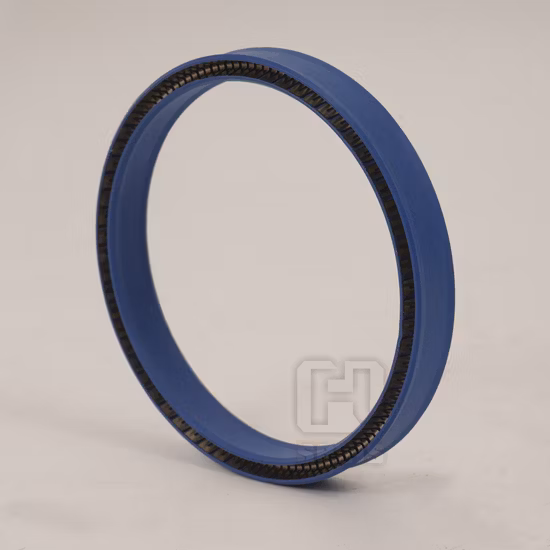 強力な耐圧性スプリング付勢シール PTFE O リングシール
